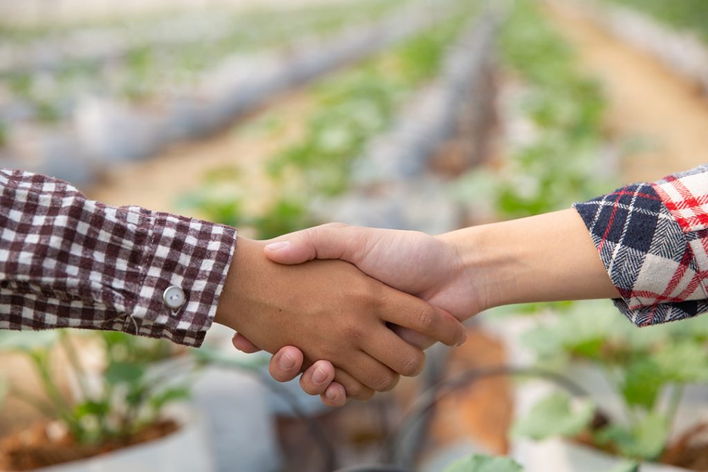 Foto de duas pessoas apertando as mãos em frente a uma plantação