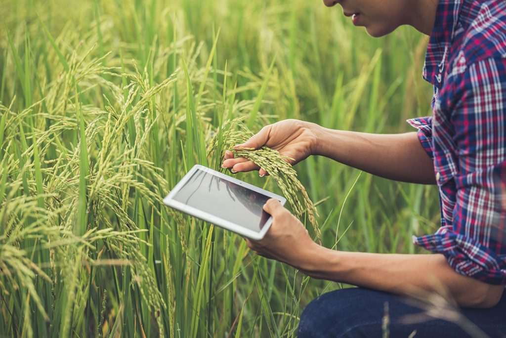 Foto de um profissional analisando uma planta com a ajuda de um tablet