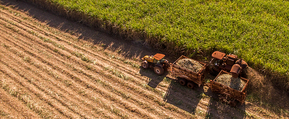 Imagem de capa - Como a Veeam possibilitou que a Euralis acelerasse a expansão global do seu agronegócio